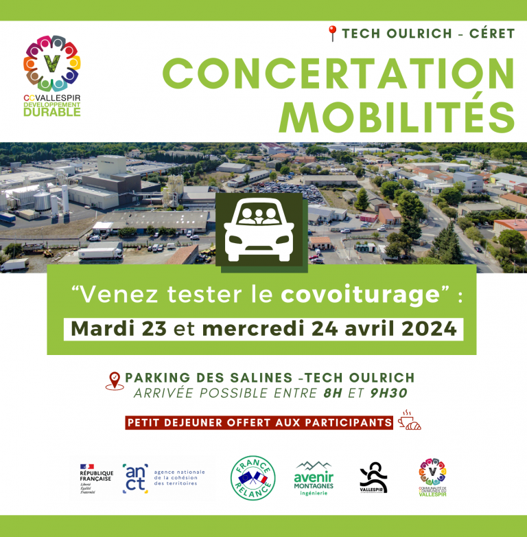 Visuel-Animation-Covoiturage-TO-768×782